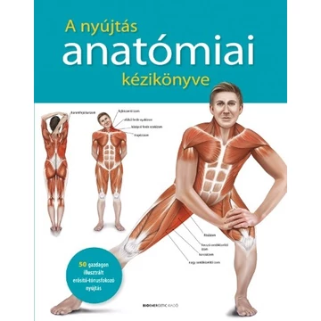 Prof. dr. Ken Ashwell - A nyújtás anatómiai kézikönyve